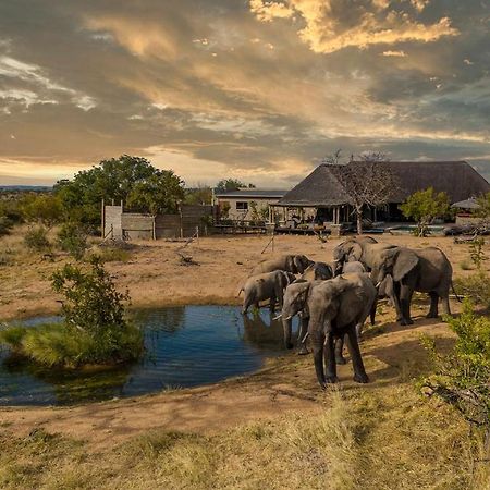 Imagine Africa Luxury Tented Camp Balule Game Reserve Zewnętrze zdjęcie