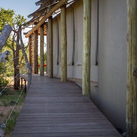 Imagine Africa Luxury Tented Camp Balule Game Reserve Zewnętrze zdjęcie