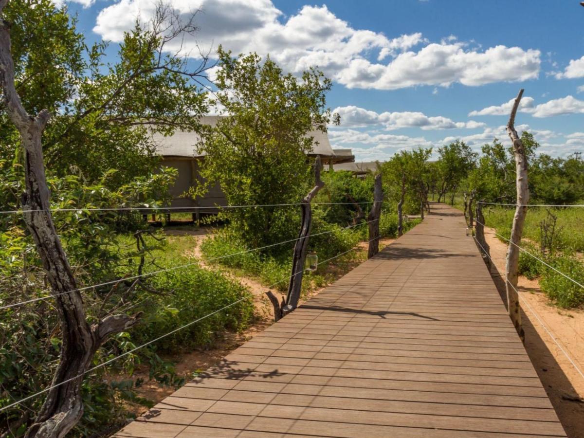 Imagine Africa Luxury Tented Camp Balule Game Reserve Zewnętrze zdjęcie