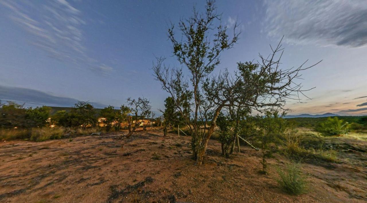 Imagine Africa Luxury Tented Camp Balule Game Reserve Zewnętrze zdjęcie