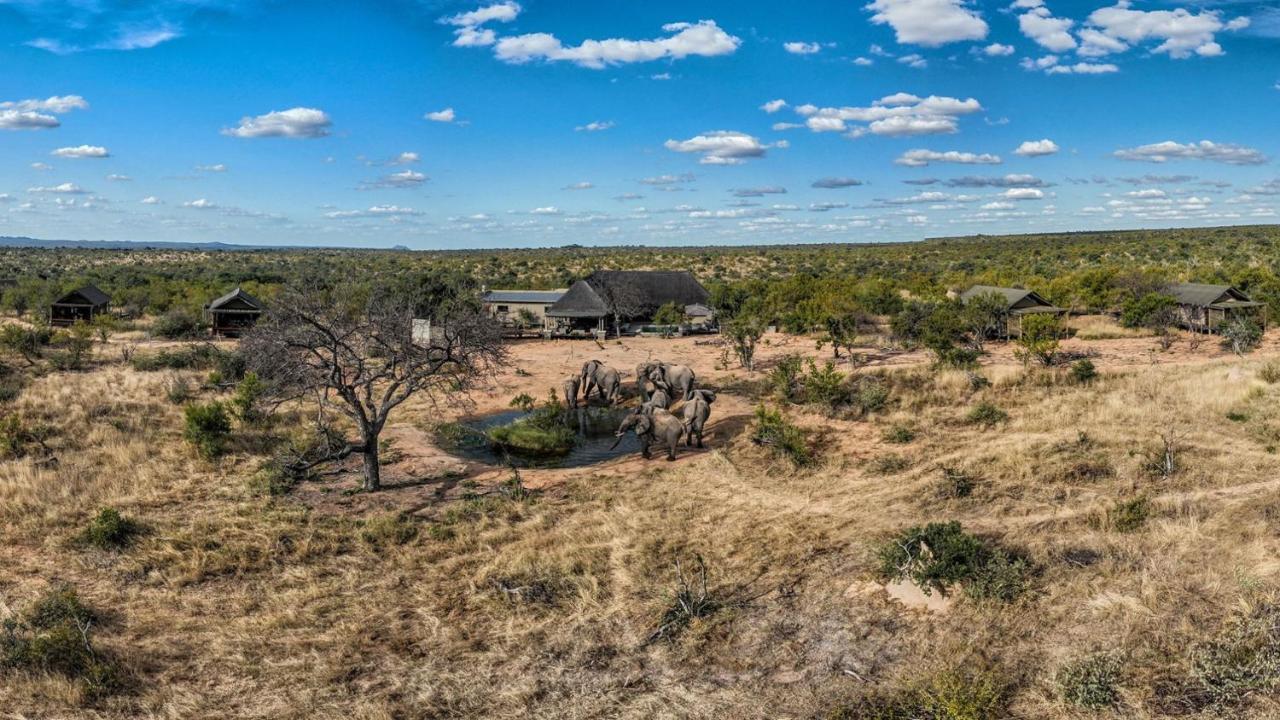 Imagine Africa Luxury Tented Camp Balule Game Reserve Zewnętrze zdjęcie